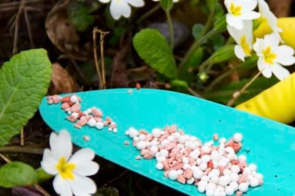 日本创业项目(国外新颖创业项目有哪些)