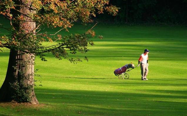 17年创业项目(大学生创新创业小点子有哪些好的)