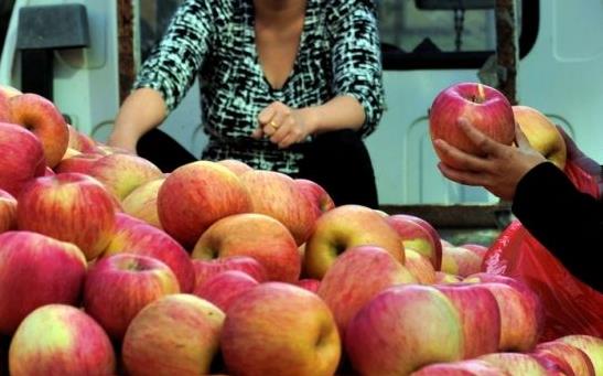 大本创业项目致富(13个农村创业致富的好项目)