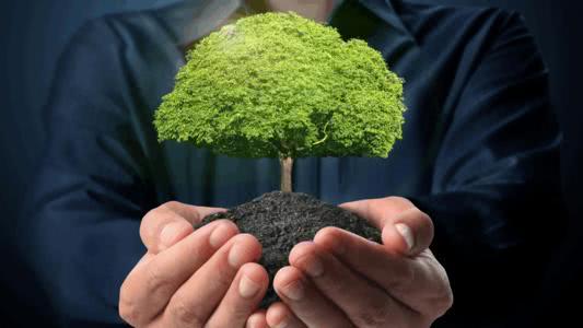 创业项目感谢(创业项目负责人意见怎么写好)