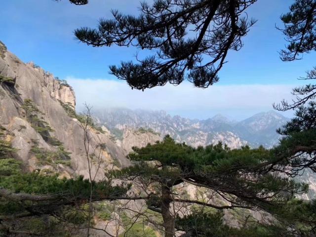 40000元创业项目(四万块能做什么生意)