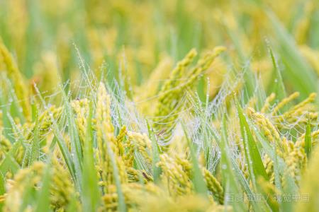 分享兼职创业项目(上班族可以做什么兼职赚钱？)