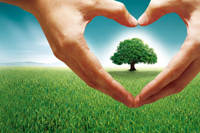 公益创业项目举例(国内有什么你认为具有创新性的公益项目？)