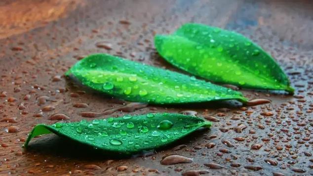 娱乐化营销创业项目(休闲吧创业计划书)