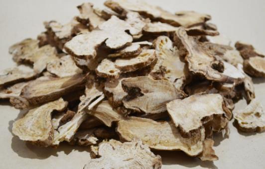 种植草药创业项目(现在种植什么药材最赚钱)