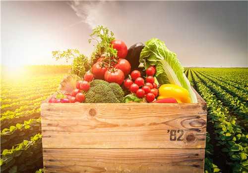 农业末端创业项目(都说未来是农业的时代，农业上的创业商机有哪些呢？)