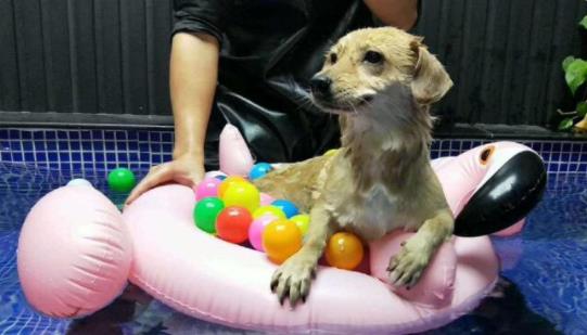 男生创业项目(适合男生创业十大行业有哪些)