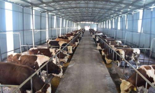 农田机井创业项目(20个农村创业致富小项目)