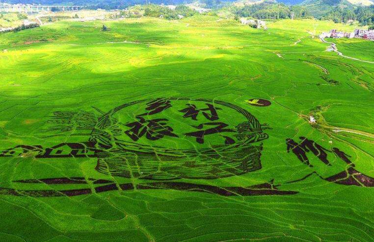 东北农村创业项目(老家是东北农村的，想要回农村创业，有什么好的项目吗？)