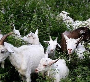 微型创业项目(22个最具潜力的创业方向)