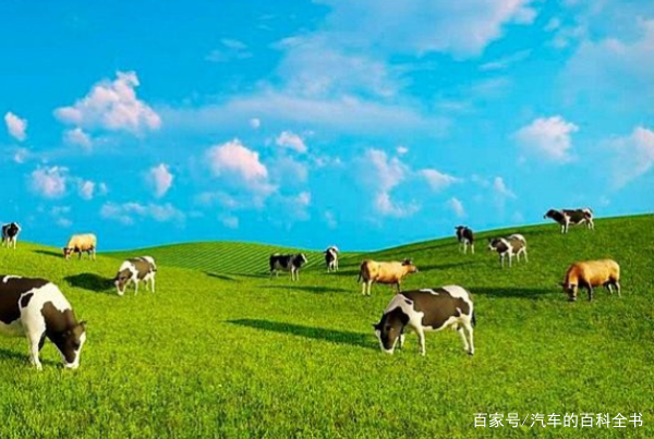 小夫妻创业项目(适合夫妻俩的小本生意)