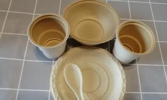 关于环保的创业项目(环保项目有哪些)