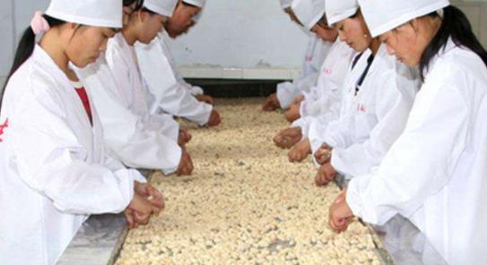 家庭手工作坊创业项目(家庭小作坊致富项目有哪些)