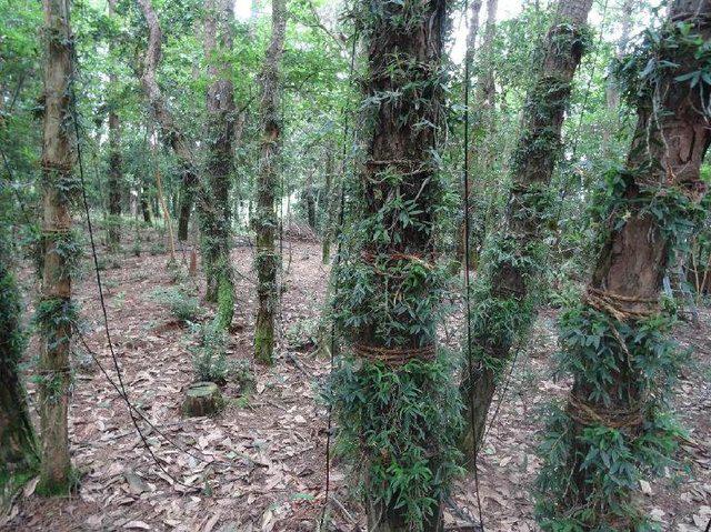 农村创业项目图片(最有前景的10个农村创业点子 在农村创业什么最赚钱？)