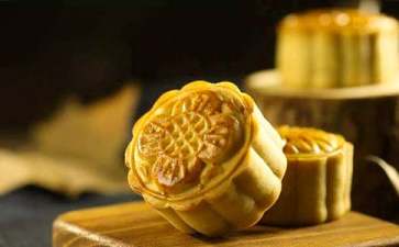 月饼创业项目简介(金苹果月饼的公司简介)