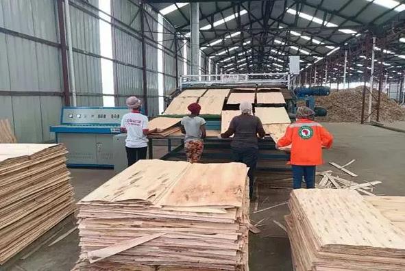 农村办厂加工创业项目(30个农村办厂项目 干好其中的一个就能做土豪)