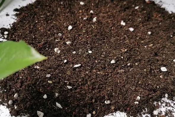 农村办厂加工创业项目(30个农村办厂项目 干好其中的一个就能做土豪)