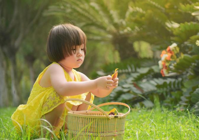 师范创业项目(2022大学生创业项目有哪些)