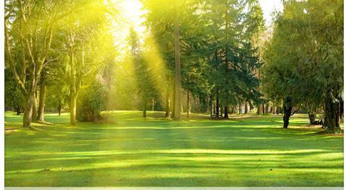 找不到创业项目(想创业但找不到方向，你们有哪些建议？)