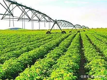 有机水稻创业项目(大学生环保节能创业项目)