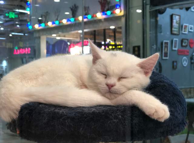 不看好创业项目的项目(为什么越不被看好的创业项目，最后越成功)