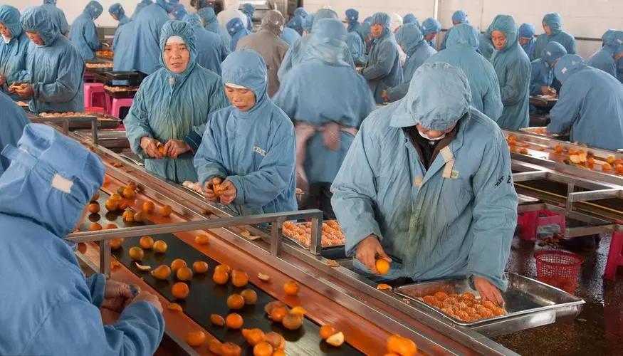 农场创业项目logo(2022年农村创业的好项目推荐 2022农村适合的创业项目)