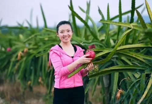 农场创业项目logo(2022年农村创业的好项目推荐 2022农村适合的创业项目)