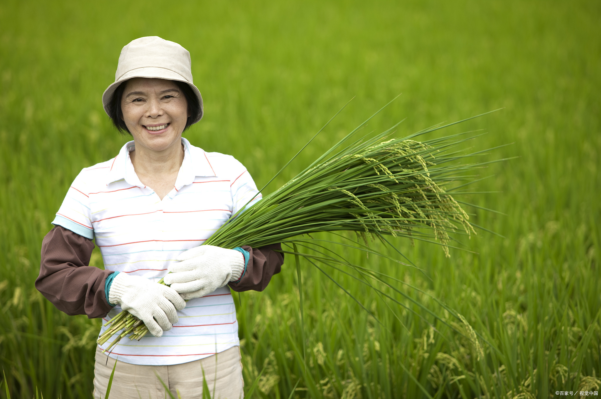 棒棒哒创业项目(广州信化共赢科技有限公司可信吗，说是2180加盟一台口罩自助机，每天分红80，分红一年？)