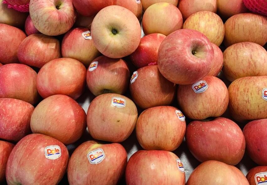 实体店创业项目(开什么实体店项目比较好)