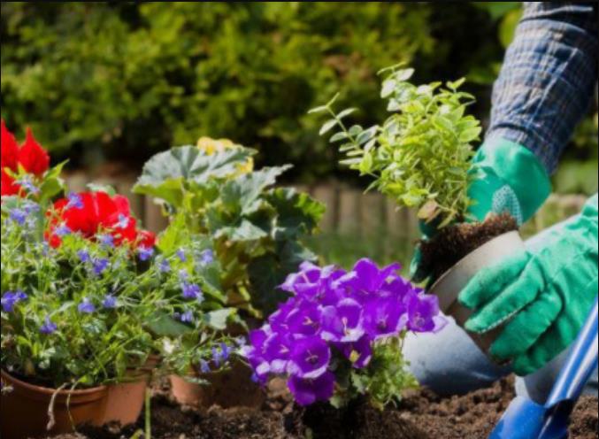 多元融合创业项目(30个有发展前景的创业项目)