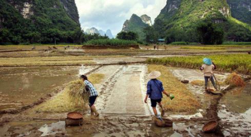 精准扶贫创业项目(精准扶贫包括哪些项目)