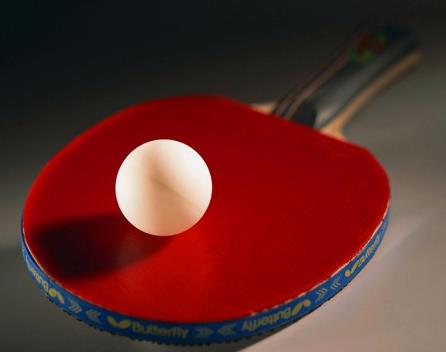 乒乓创业项目概述(乒乓球行业的“钱途”)