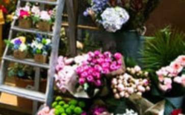 创业项目概括花店(鲜花店创业计划书)