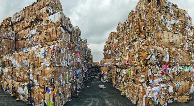 回收创业项目图片(废物回收的创业项目有什么？)