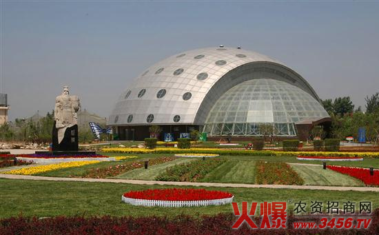 杨凌创业项目(老太太74岁二次创业成为千万富豪)