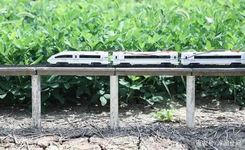 创业项目菜地(蔬菜大棚创业计划书)