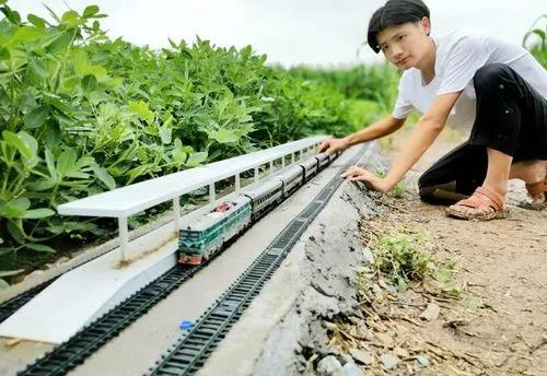 创业项目菜地(蔬菜大棚创业计划书)