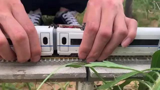 创业项目菜地(蔬菜大棚创业计划书)