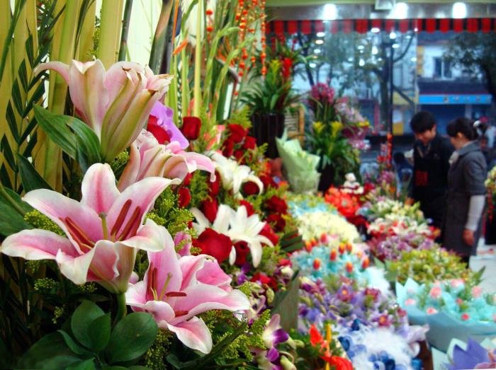 50个适合县城创业项目(在小县城开店最赚钱项目做什么好 适合小县城里创业投资推荐)