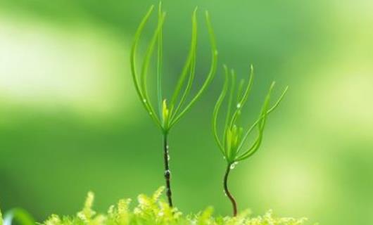 全球投资创业项目(适合开店创业的20个项目)