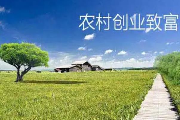 寻找农村赚钱创业项目(适合农村创业致富新项目)