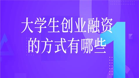 创业项目投资形式(创业融资的方式主要有哪几种)