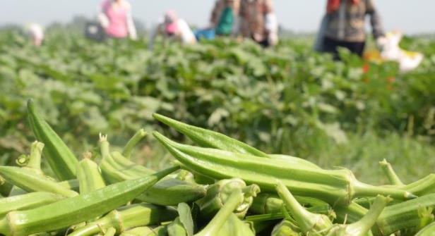 弱电创业项目(做弱电项目能赚钱吗？)