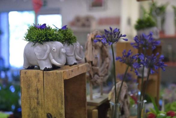 神州小本创业项目(小本创业什么项目好)