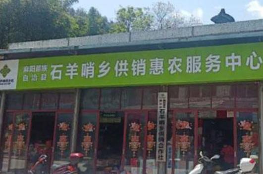 非常火爆的创业项目(2020年5个火爆的创业好项目，一天挣500不难)