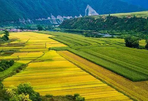 1万以下的创业项目(一万元内做什么生意比较好赚钱!)