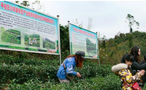 最新农业创业项目(三农创业项目)