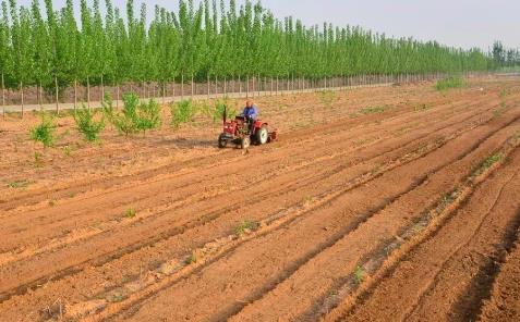 最新农业创业项目(三农创业项目)