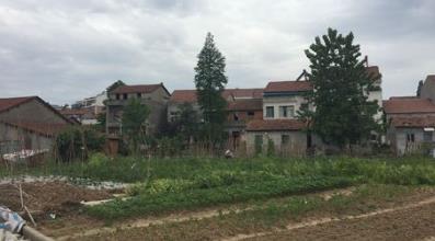 富门路创业项目(在农村如何快速致富？哪些致富门路很有前景呢？)