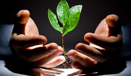 创业项目网  (创业项目网)